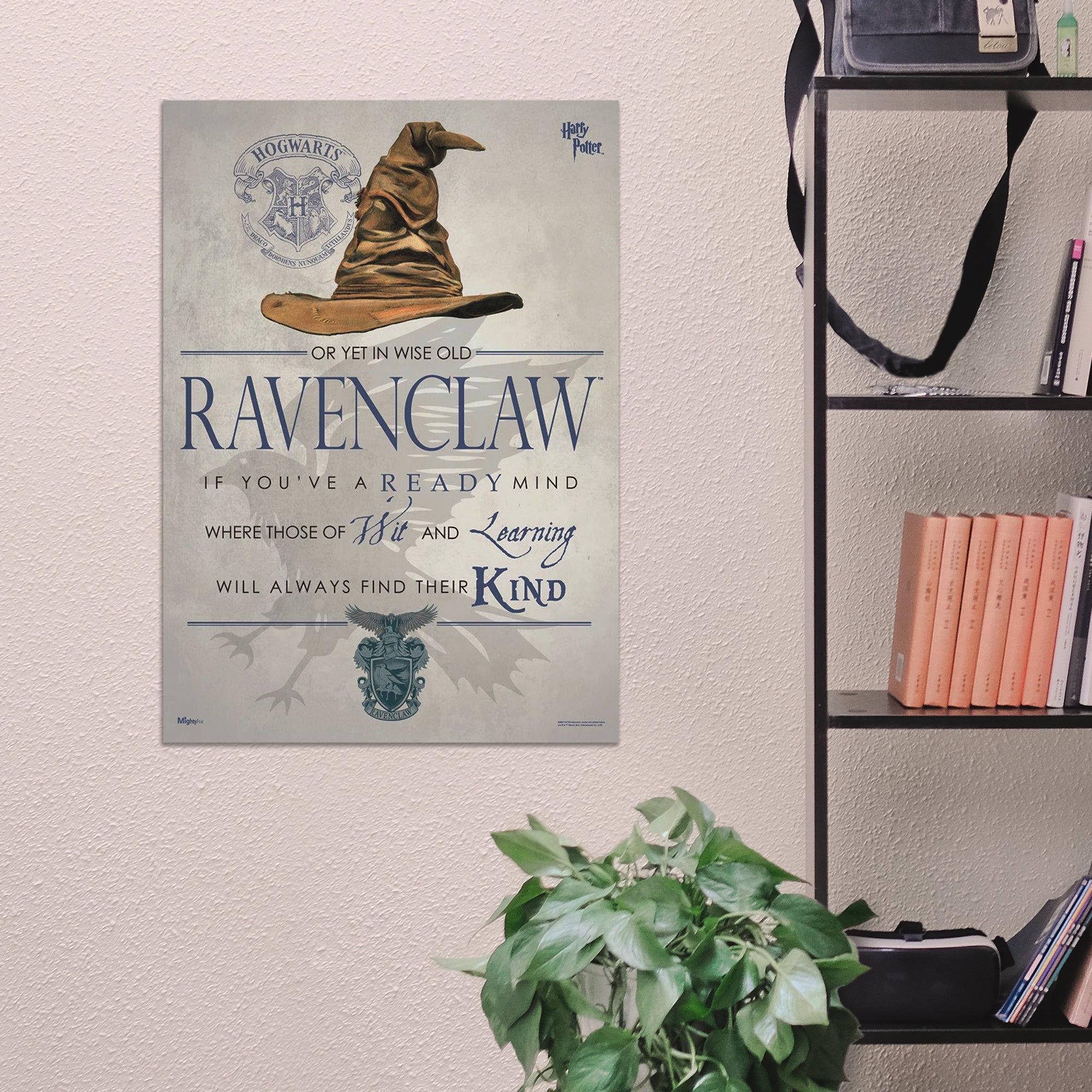Harry Potter (Sorting Hat Ravenclaw) MightyPrint™ Wall Art MP17240185